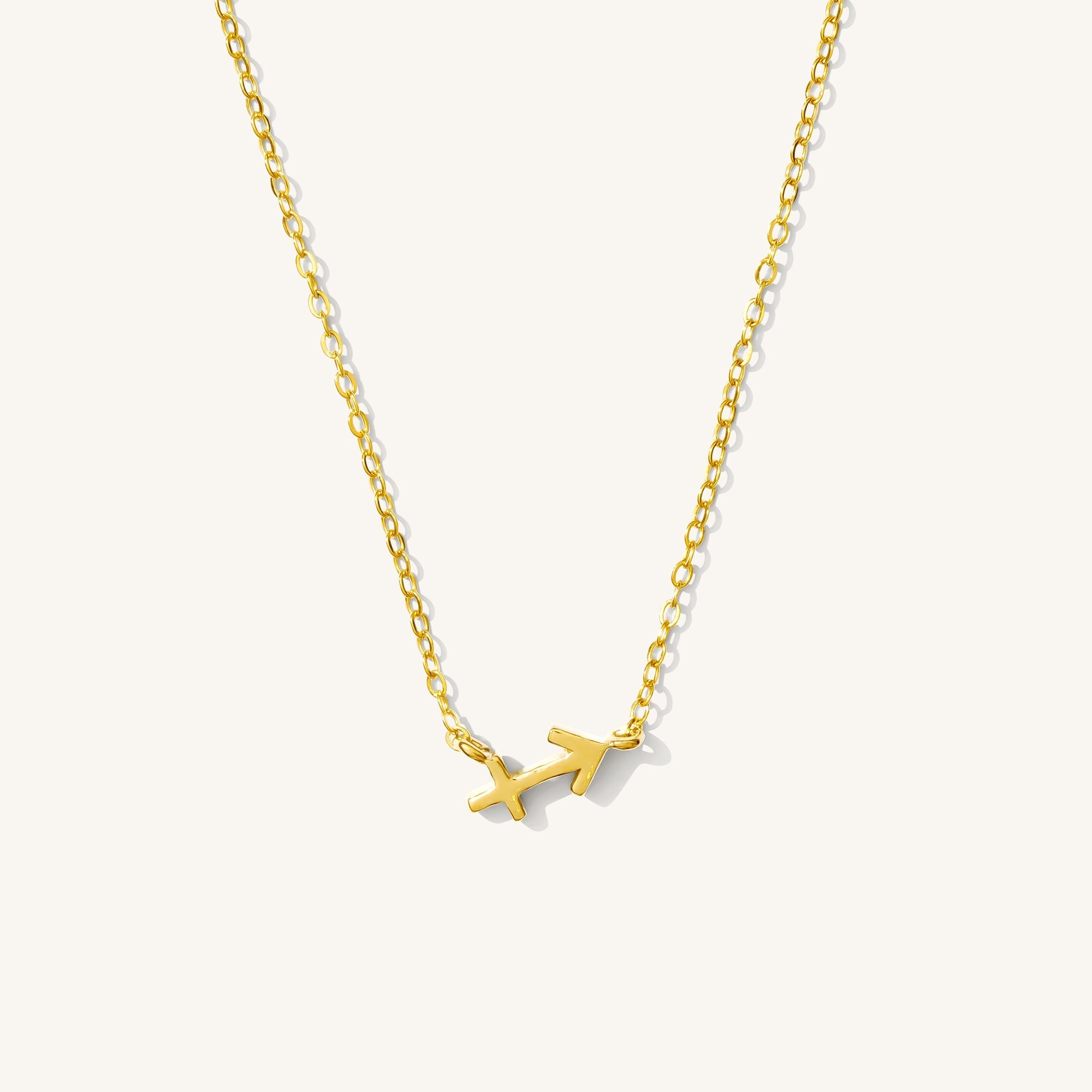 Tiny Zodiac Necklace