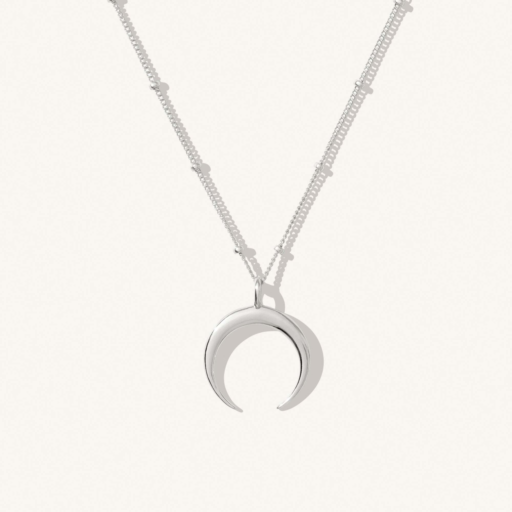 Dainty Horn Necklace