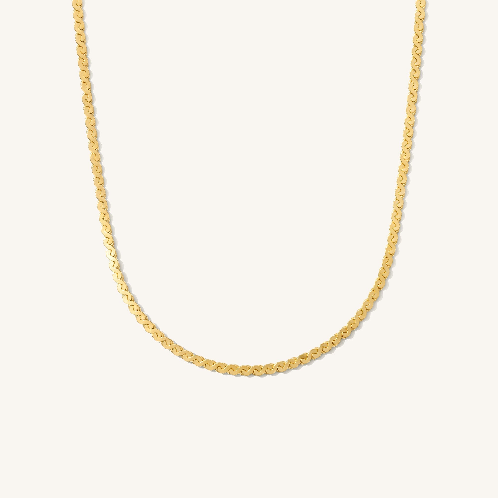 Dainty Serpentine Chain Necklace