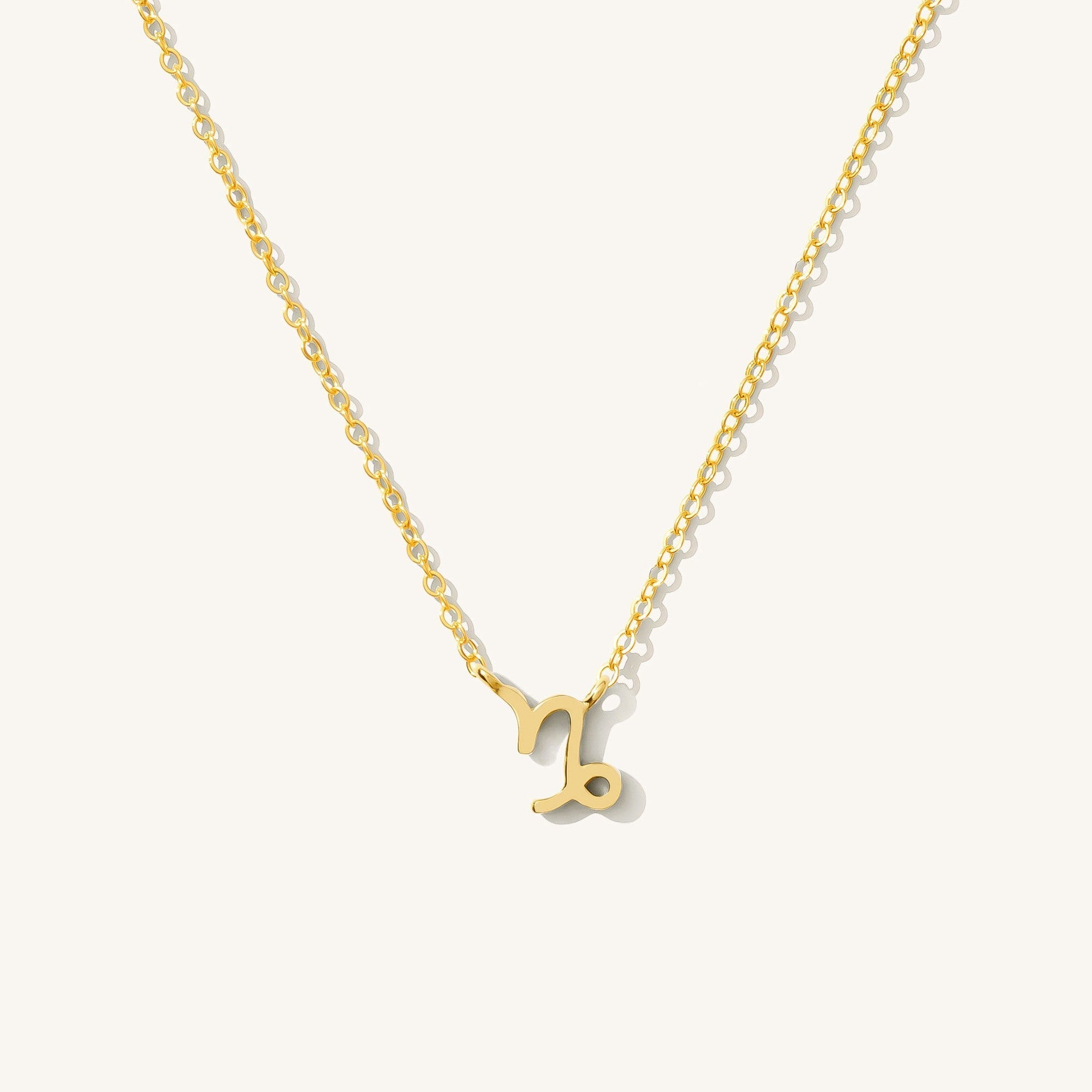 Tiny Zodiac Necklace