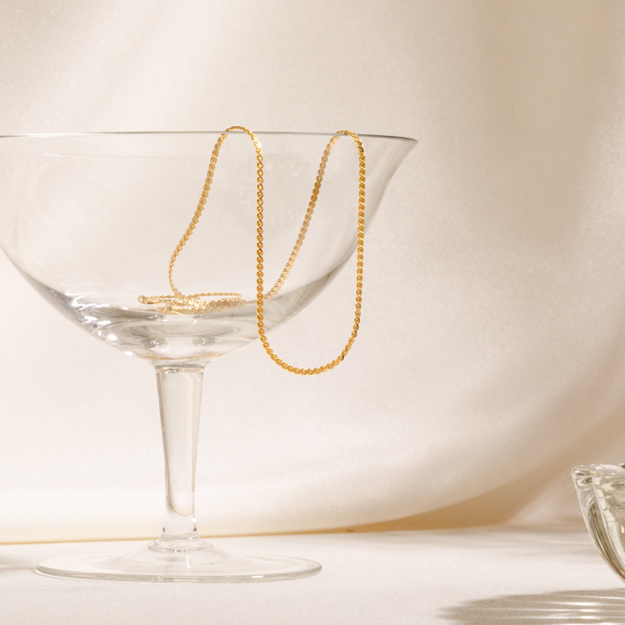 Dainty Serpentine Chain Necklace