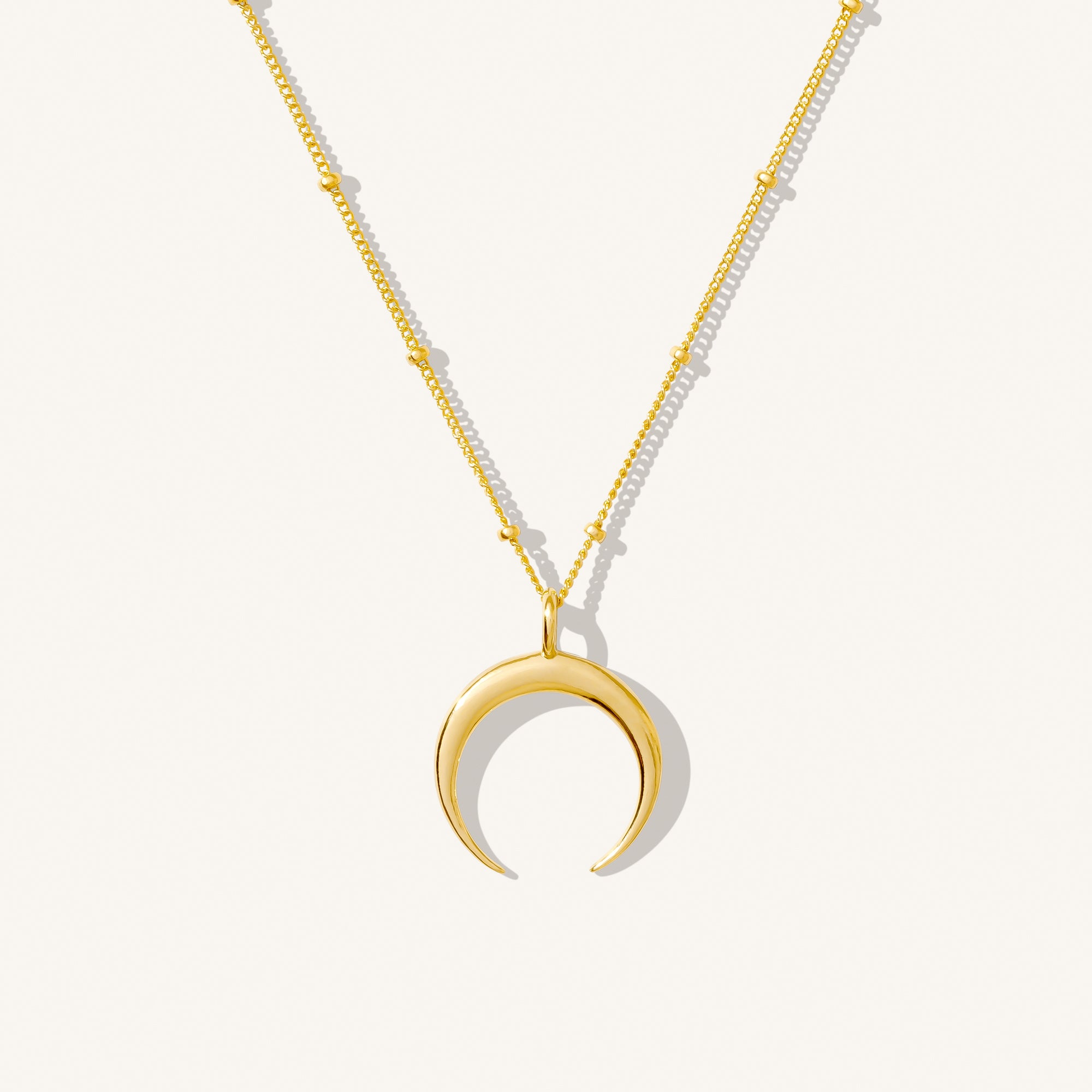 Dainty Horn Necklace